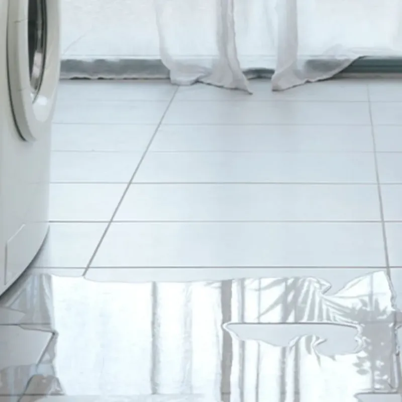 Appliance Leak Cleanup in Cridersville, OH