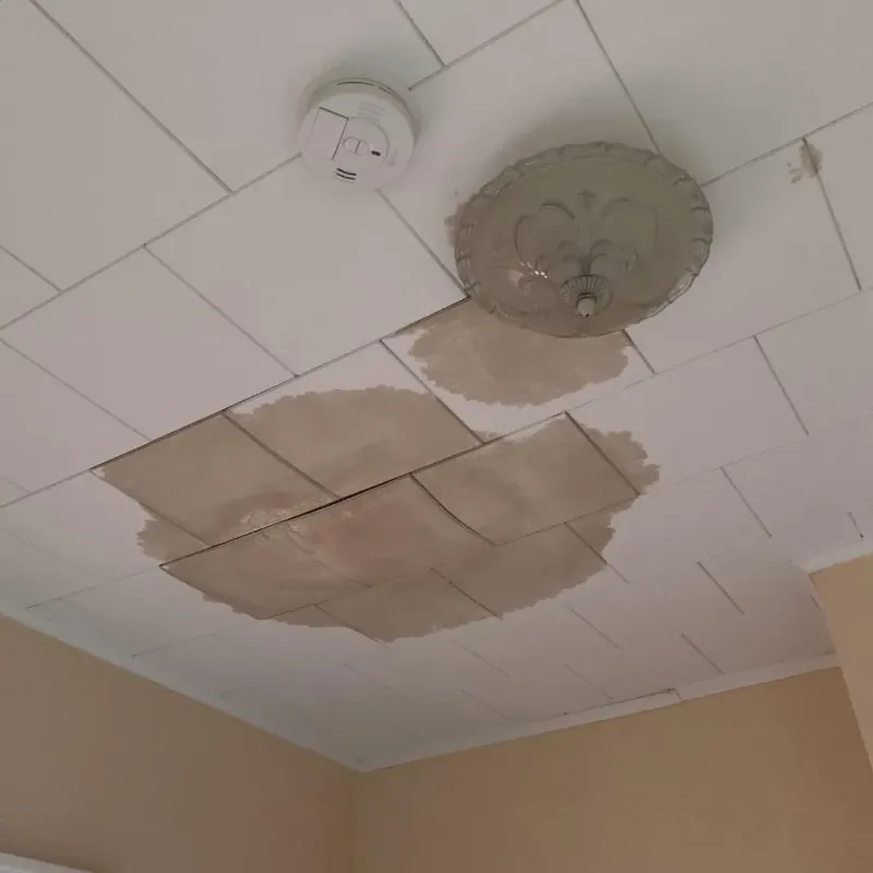 Ceiling Water Damage Repair in Cridersville, OH