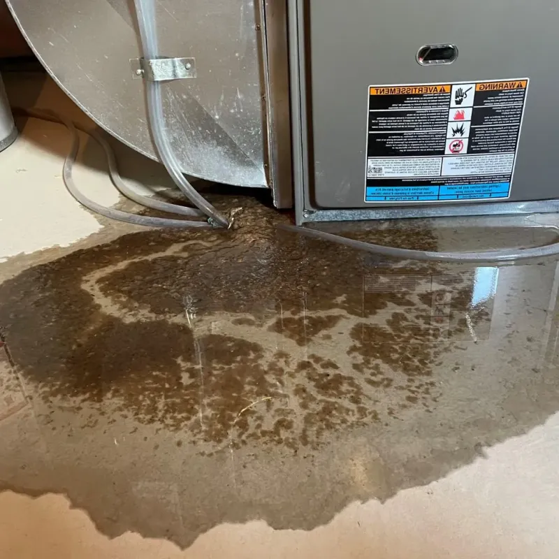 Pipe Burst and Leak Restoration in Cridersville, OH