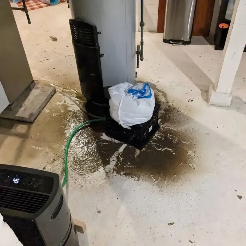 Sewage Backup Cleanup Service in Cridersville, OH